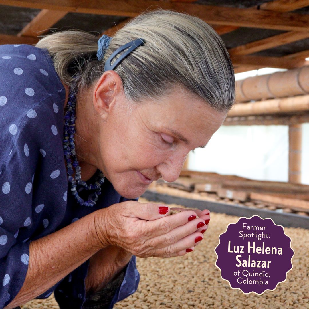 Lil' Red | Decaf Single Origin | Colombia | Swiss Water Process Decaffeinated