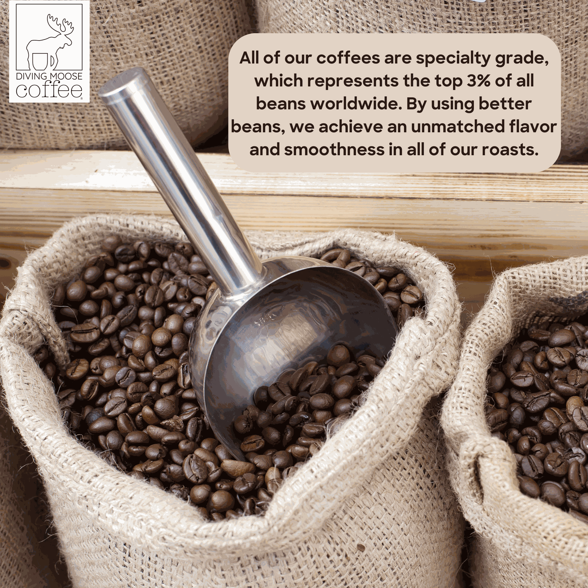 The Otter - Brazil Mogiana Medium-Light Roast