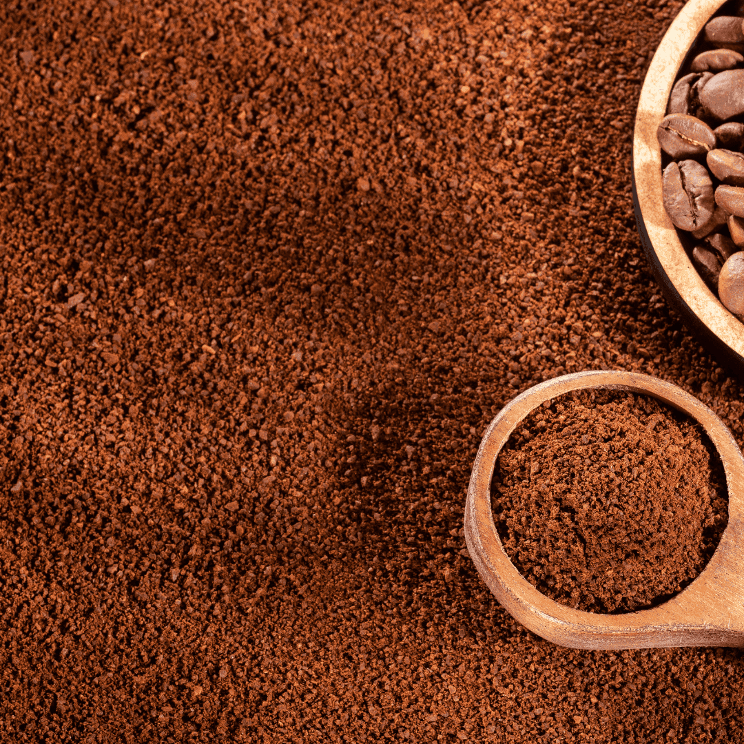 RAINFOREST | ESPRESSO BLEND