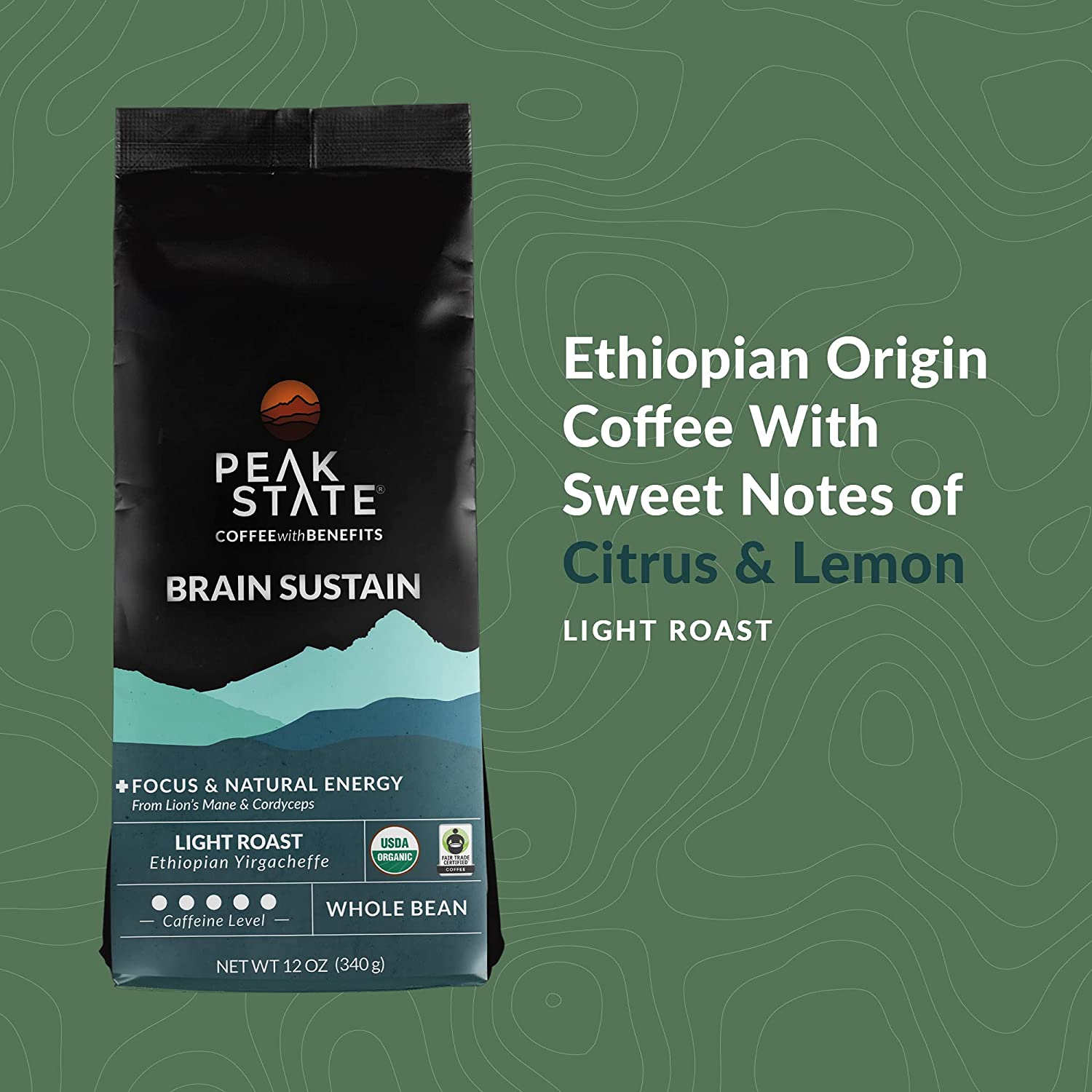 [FM] BRAIN SUSTAIN Light Roast - 5lb