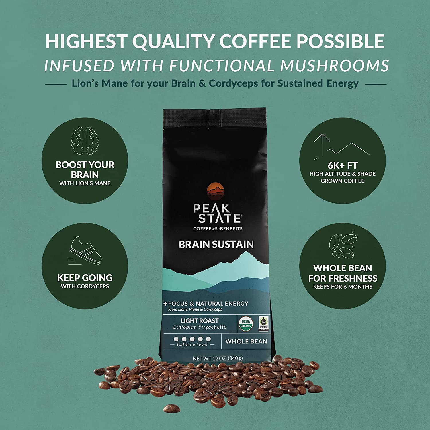 [FM] BRAIN SUSTAIN Light Roast - 5lb