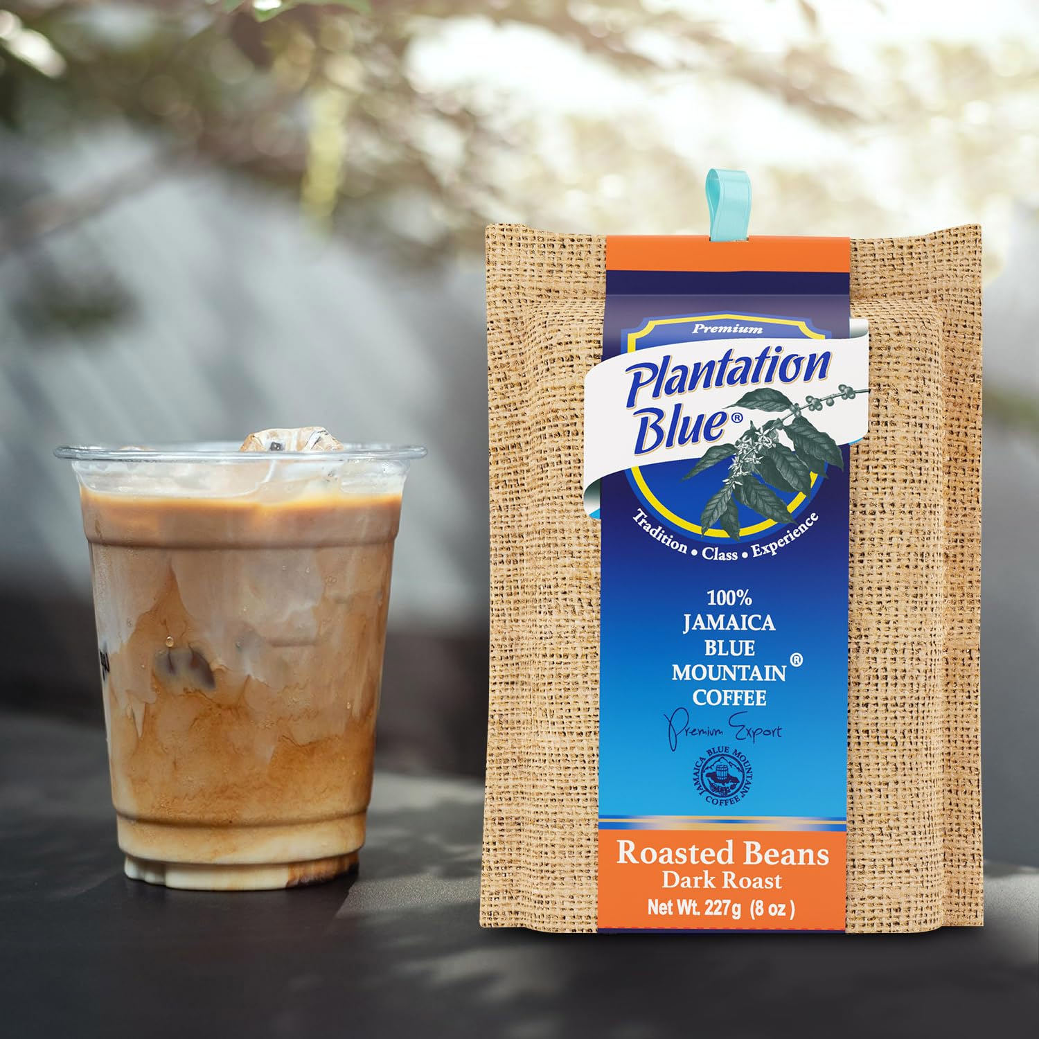 Plantation Blue 100% Jamaica Blue Mountain Coffee - Dark Roasted Whole Beans (8oz)