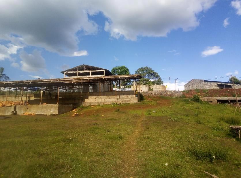 Atnago's Ethiopia • Medium-Light Roast