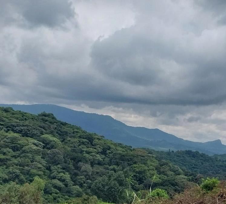 Atnago's Ethiopia • Medium-Light Roast