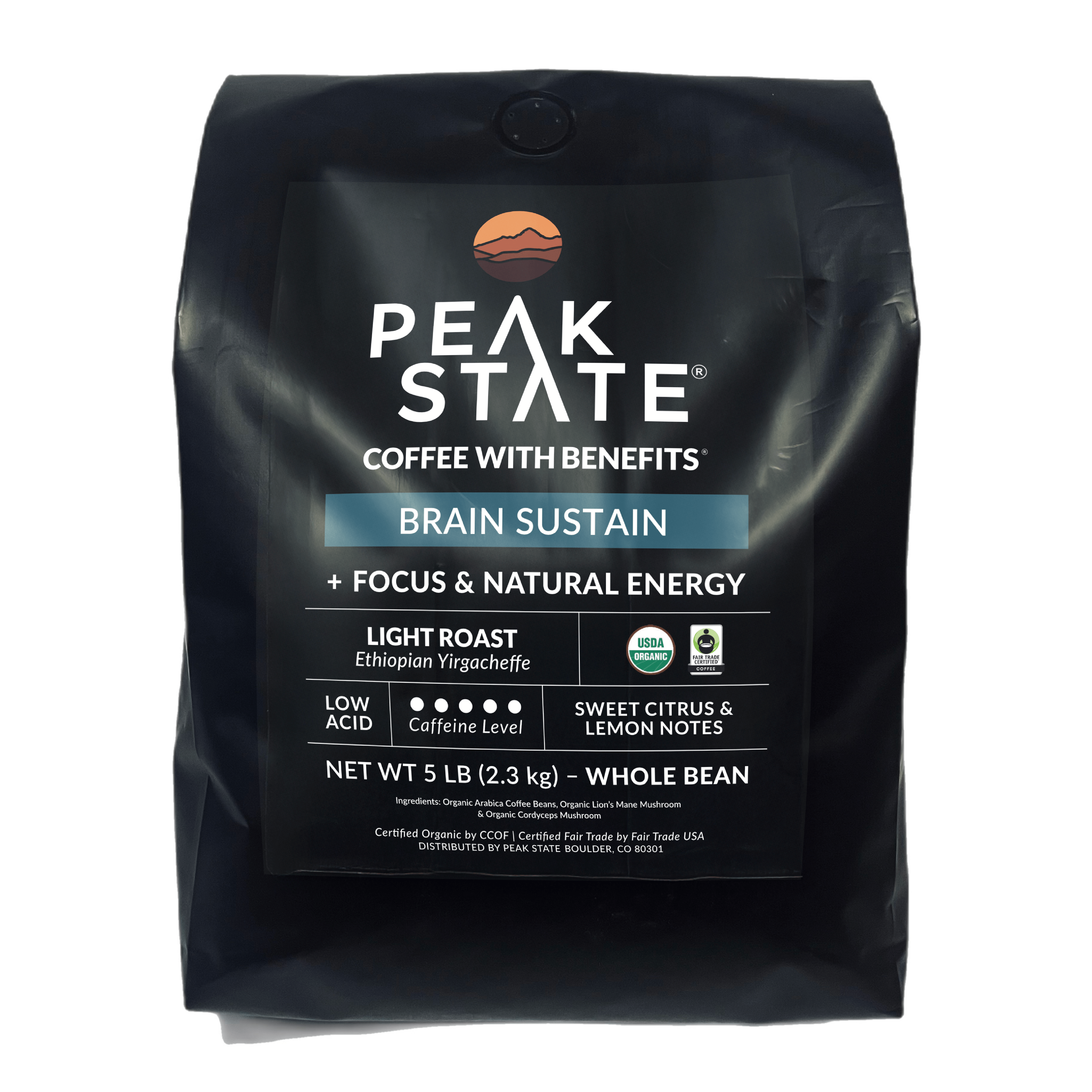[FM] BRAIN SUSTAIN Light Roast - 5lb
