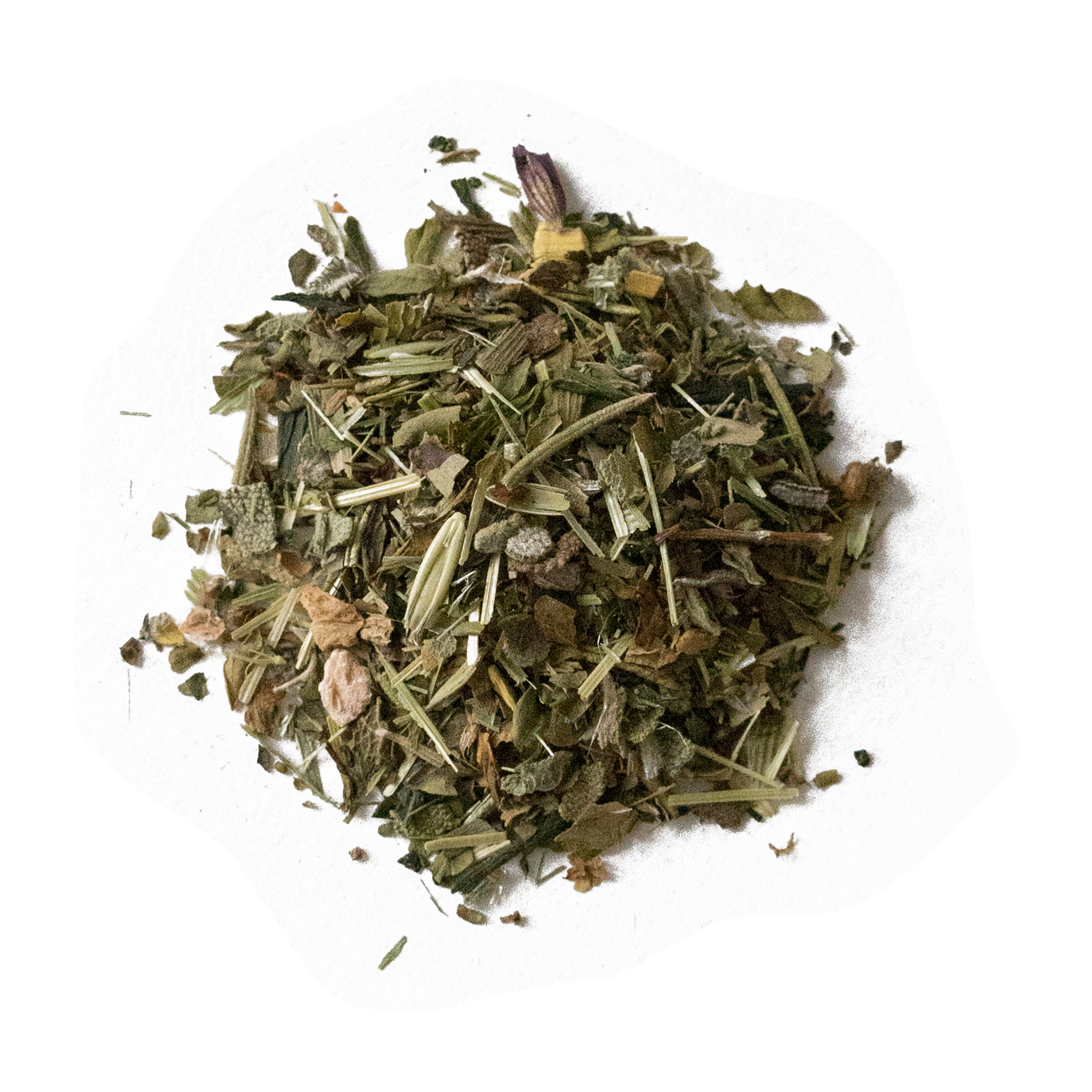 Bright Morning Stars