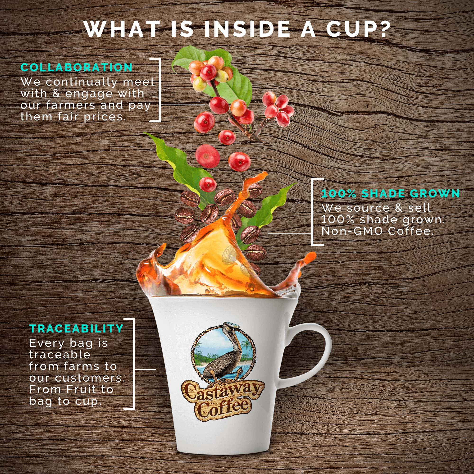 Castaway Coffee Café Cubano Espresso
