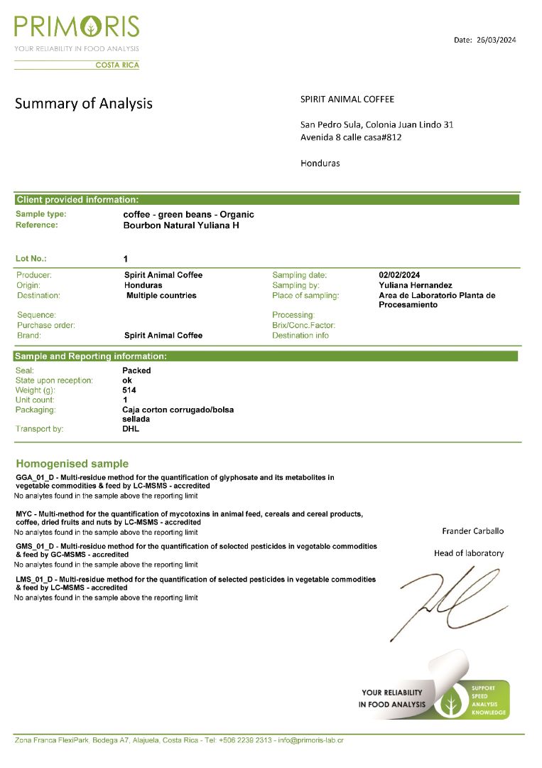 Yellow Catuai & Parainema 1.8oz (50g) Sample bag