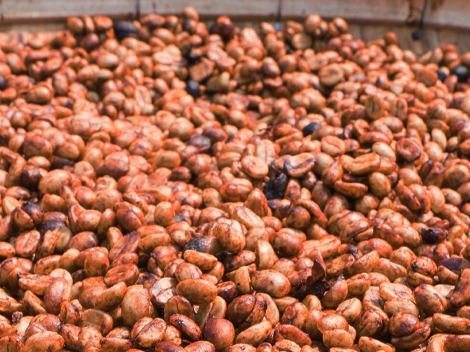 Costa Rica La Guaca Natural Processed, Light Roast - Microlot