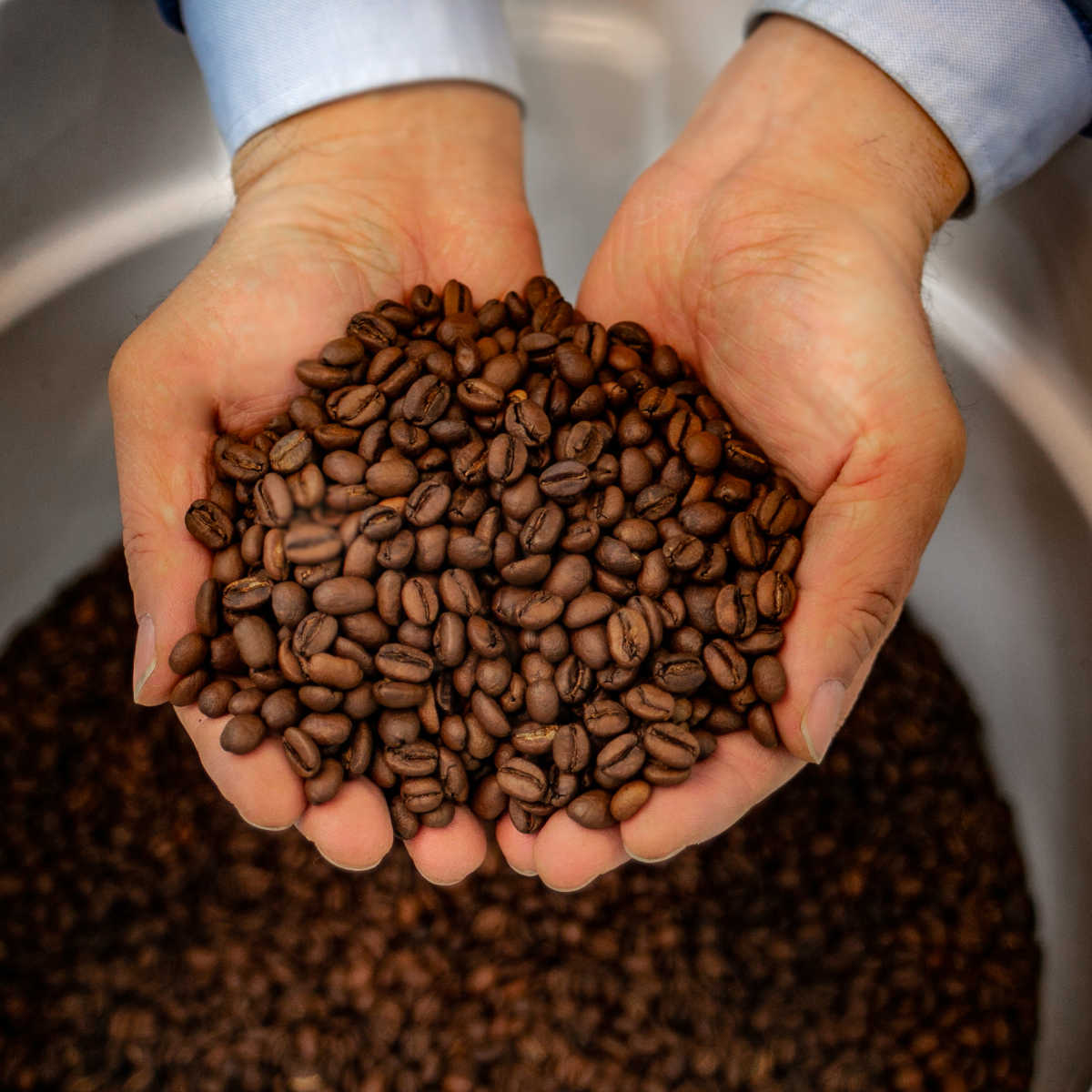 Enzyme Fermented Coffee - Family Size (5lb)