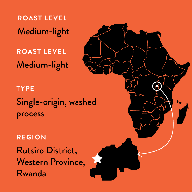 Ejo Heza's Rwanda | Medium-Light Roast