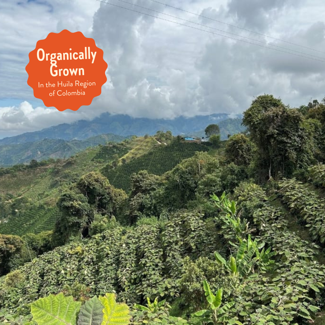 Howler | Decaf Single Origin | Colombia | Sugarcane EA Decaffeinated