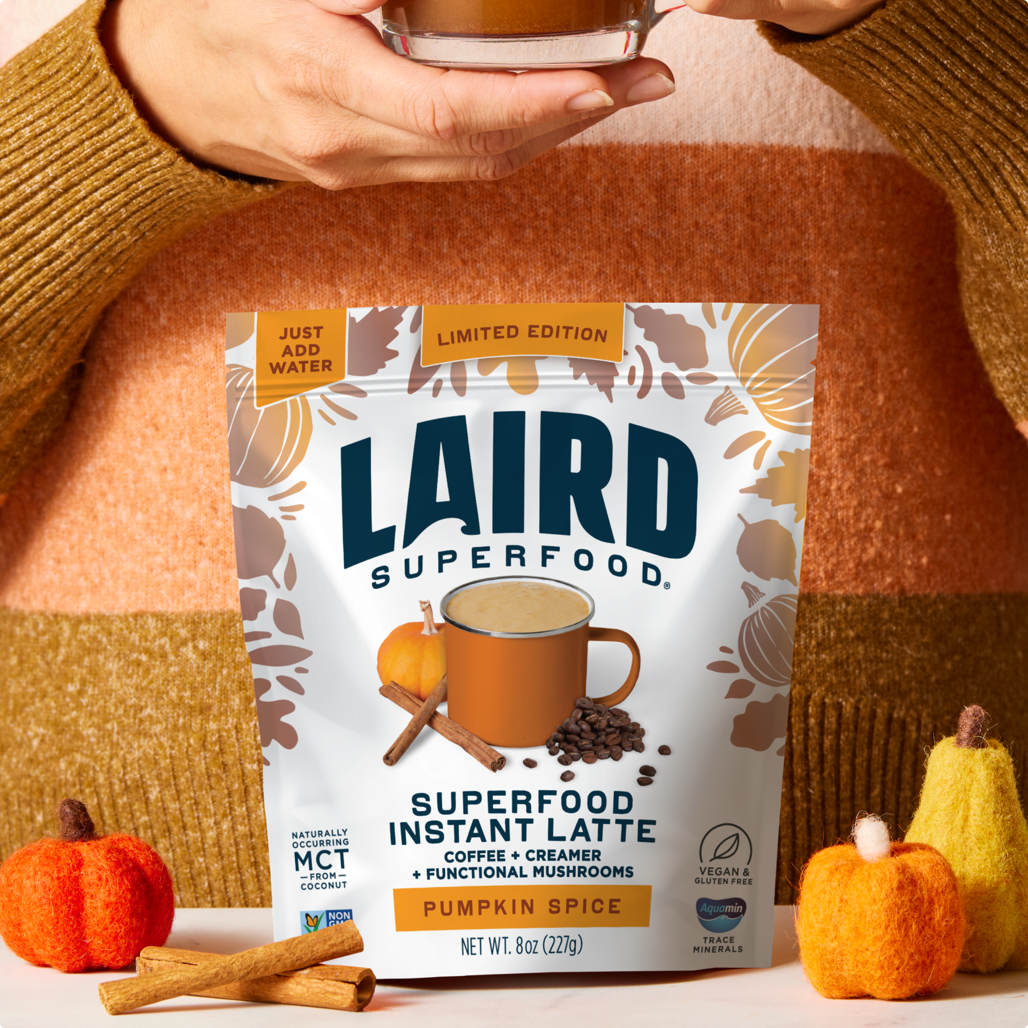 Pumpkin Spice Instant Latte