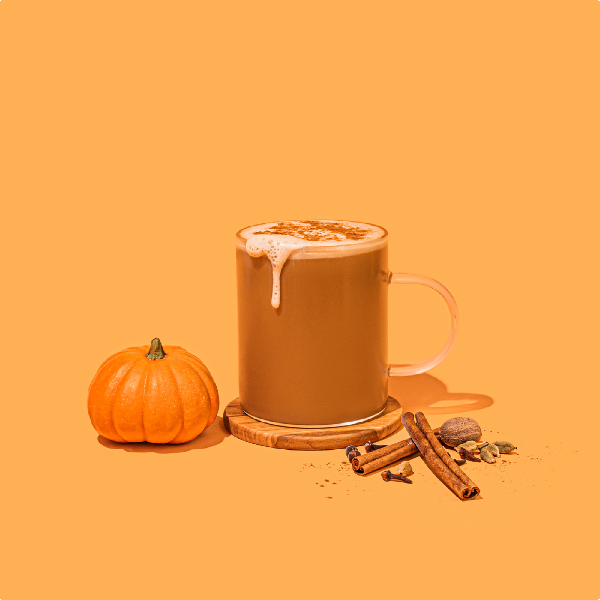 Pumpkin Spice Instant Latte