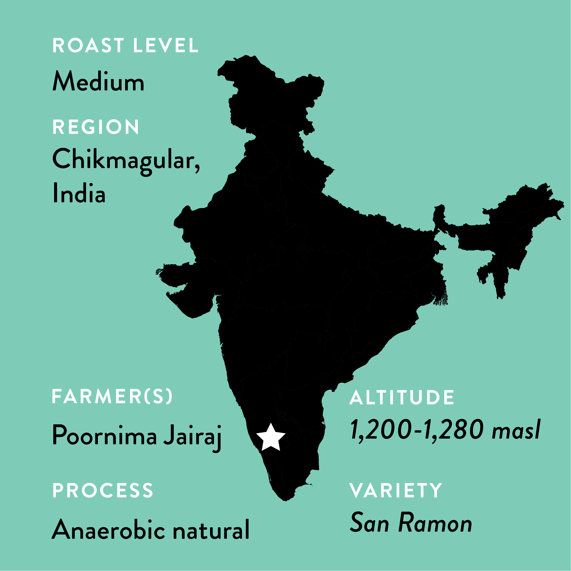 Varshini's India | Medium Roast
