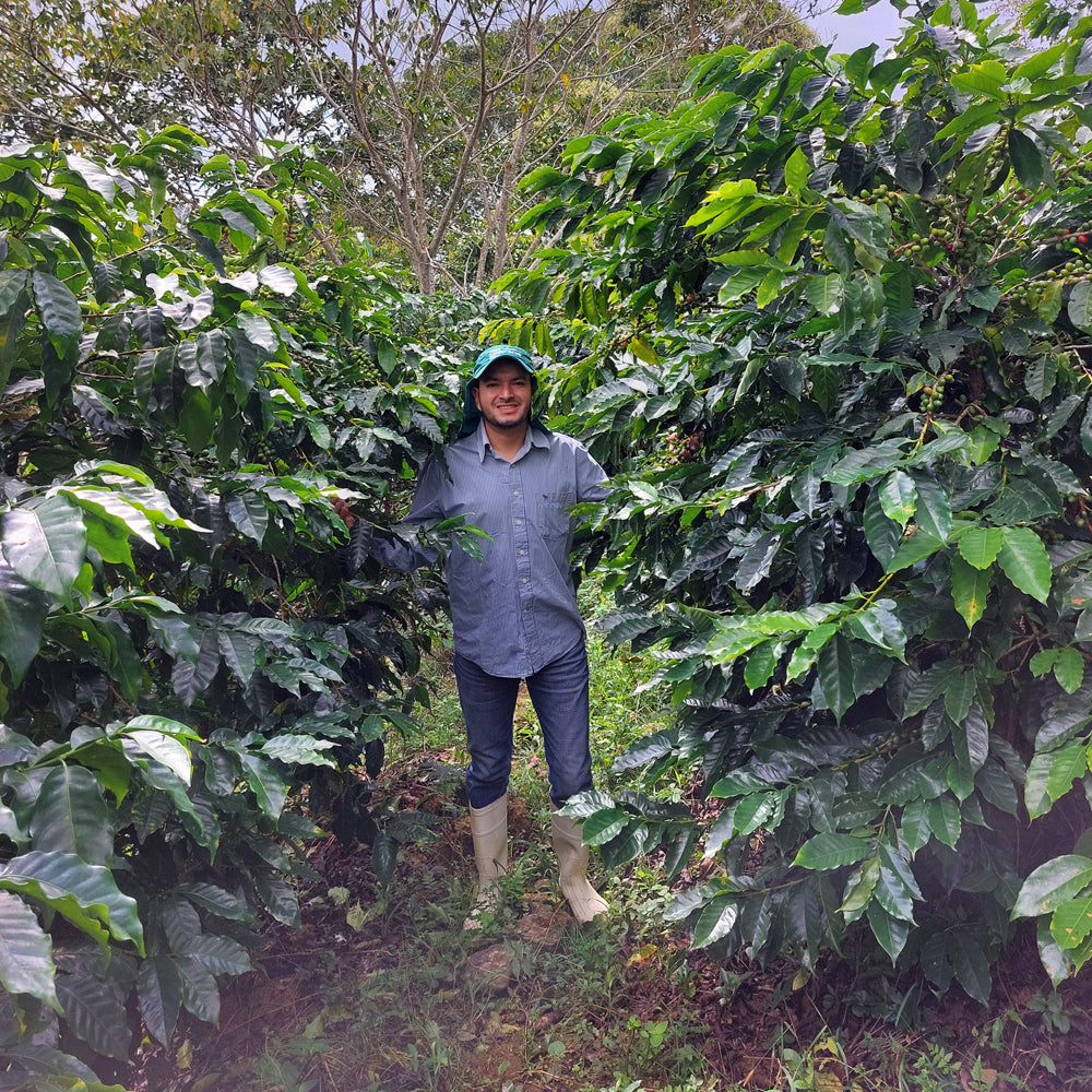 Honduran Espresso Blend Coffee