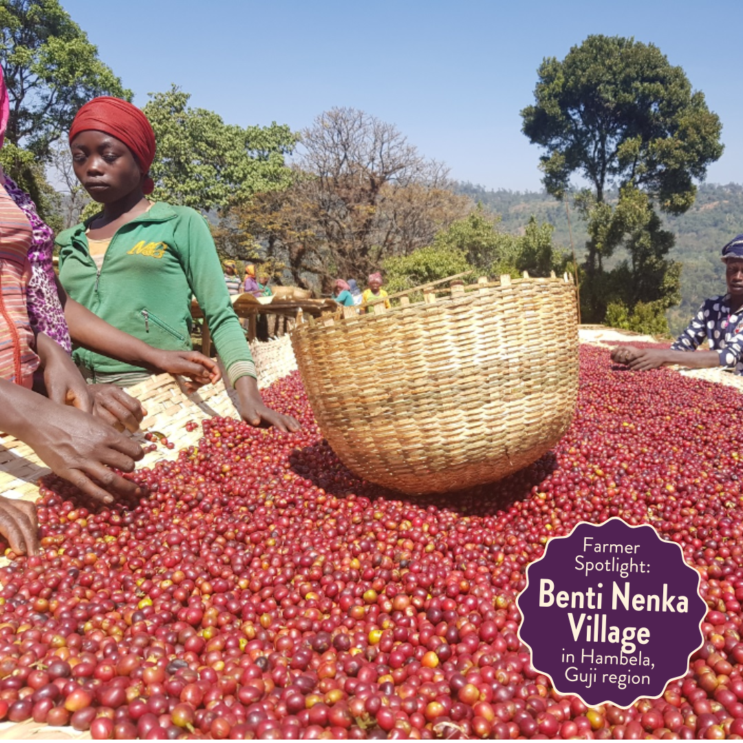 Lil' Red | Decaf Single Origin | Ethiopia Natural | Swiss Water Process Decaffeinated