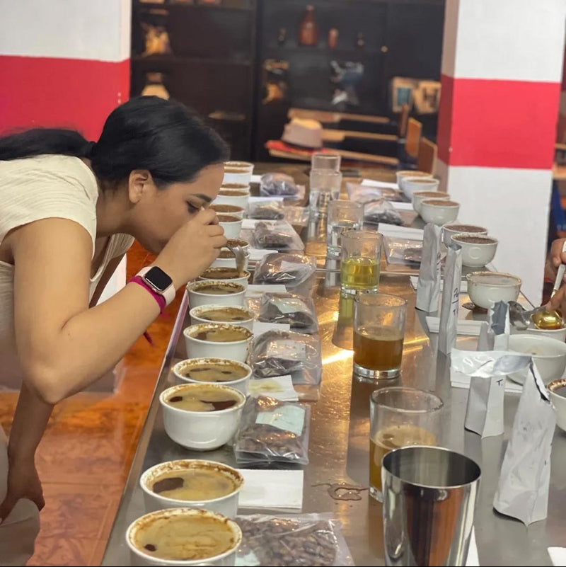 Lilly's Guatemala | Medium Roast