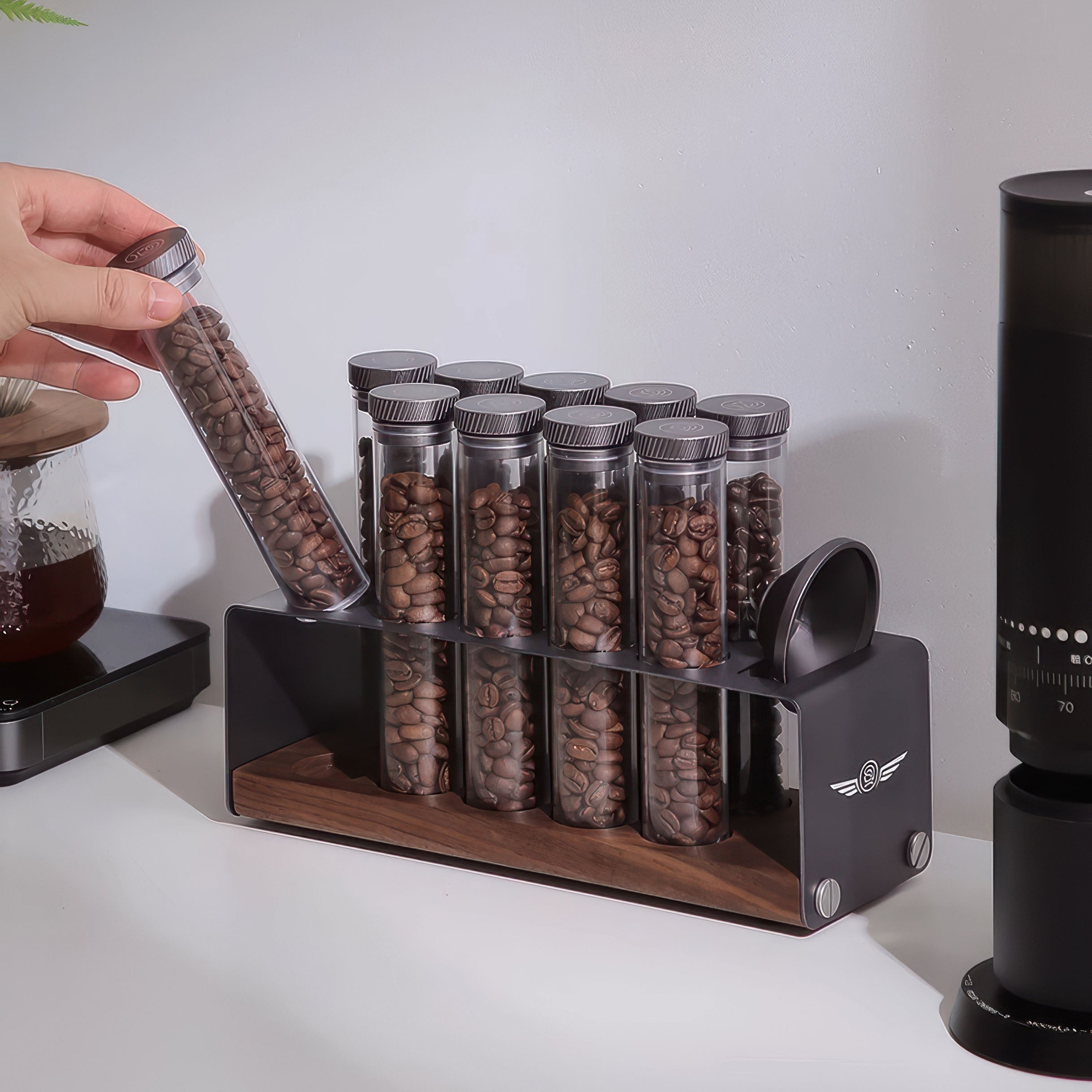 Pro Coffee Bean Storage Display & Degassing Stand