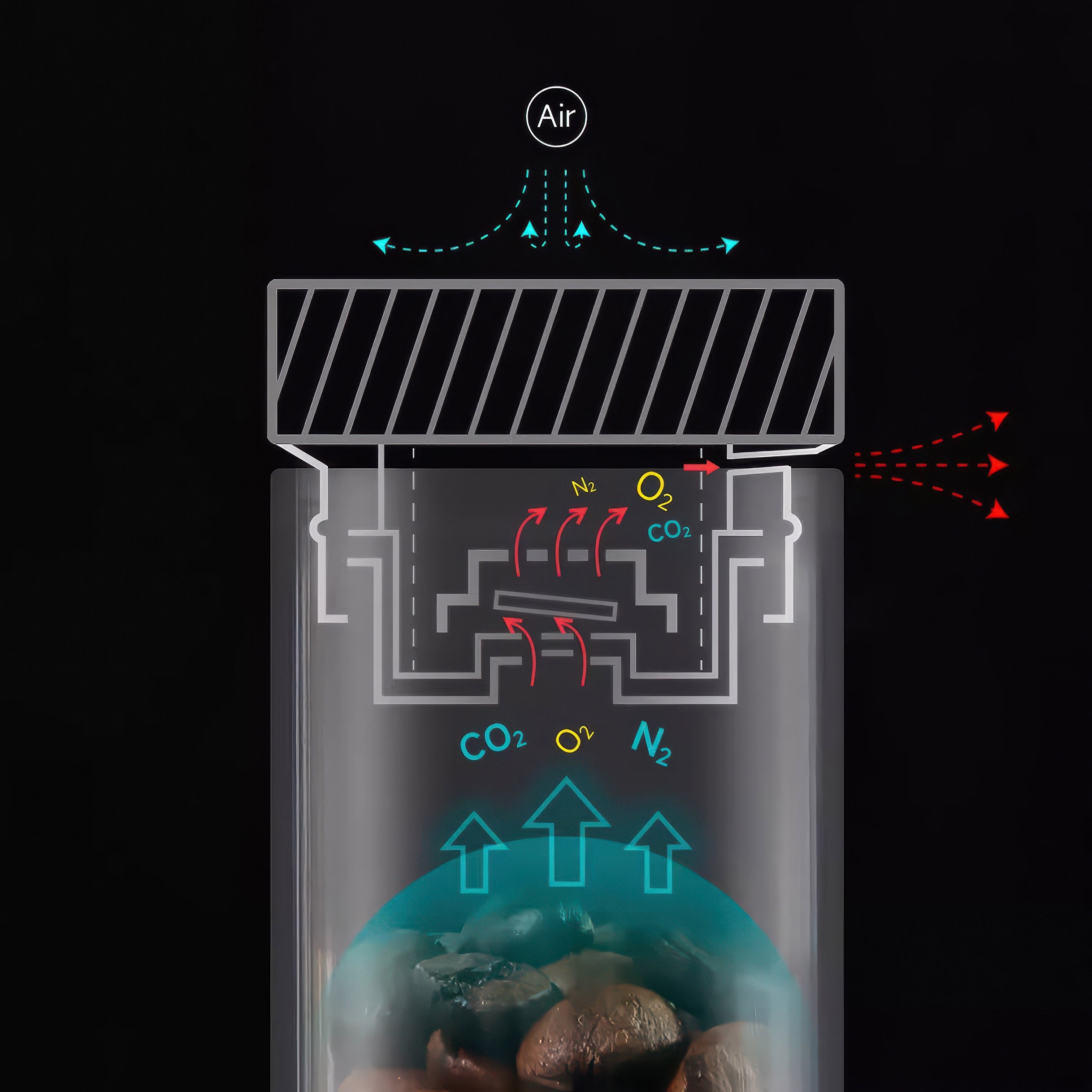 Pro Coffee Bean Storage Display & Degassing Stand