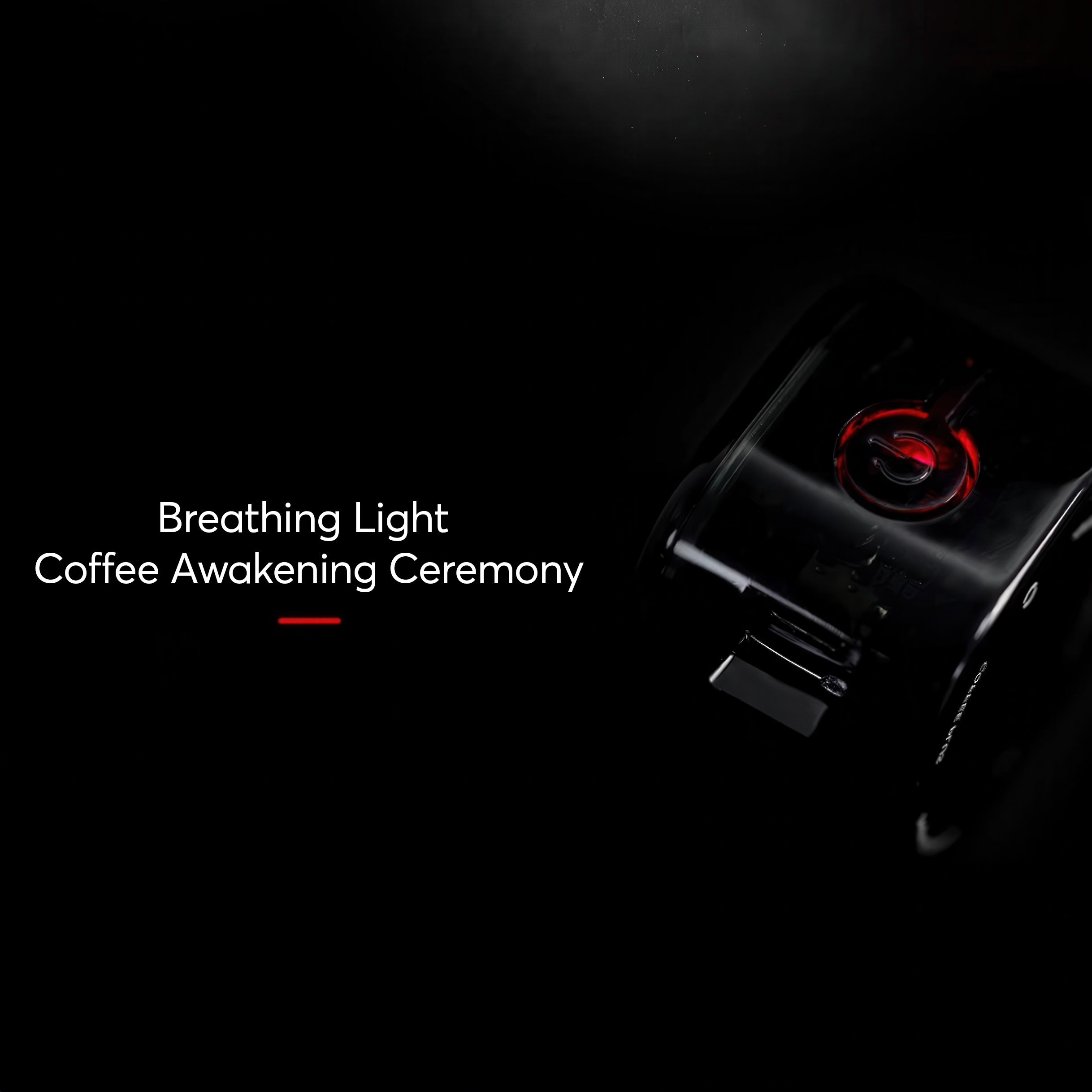 Electric Anti-Static Bean Sprayer