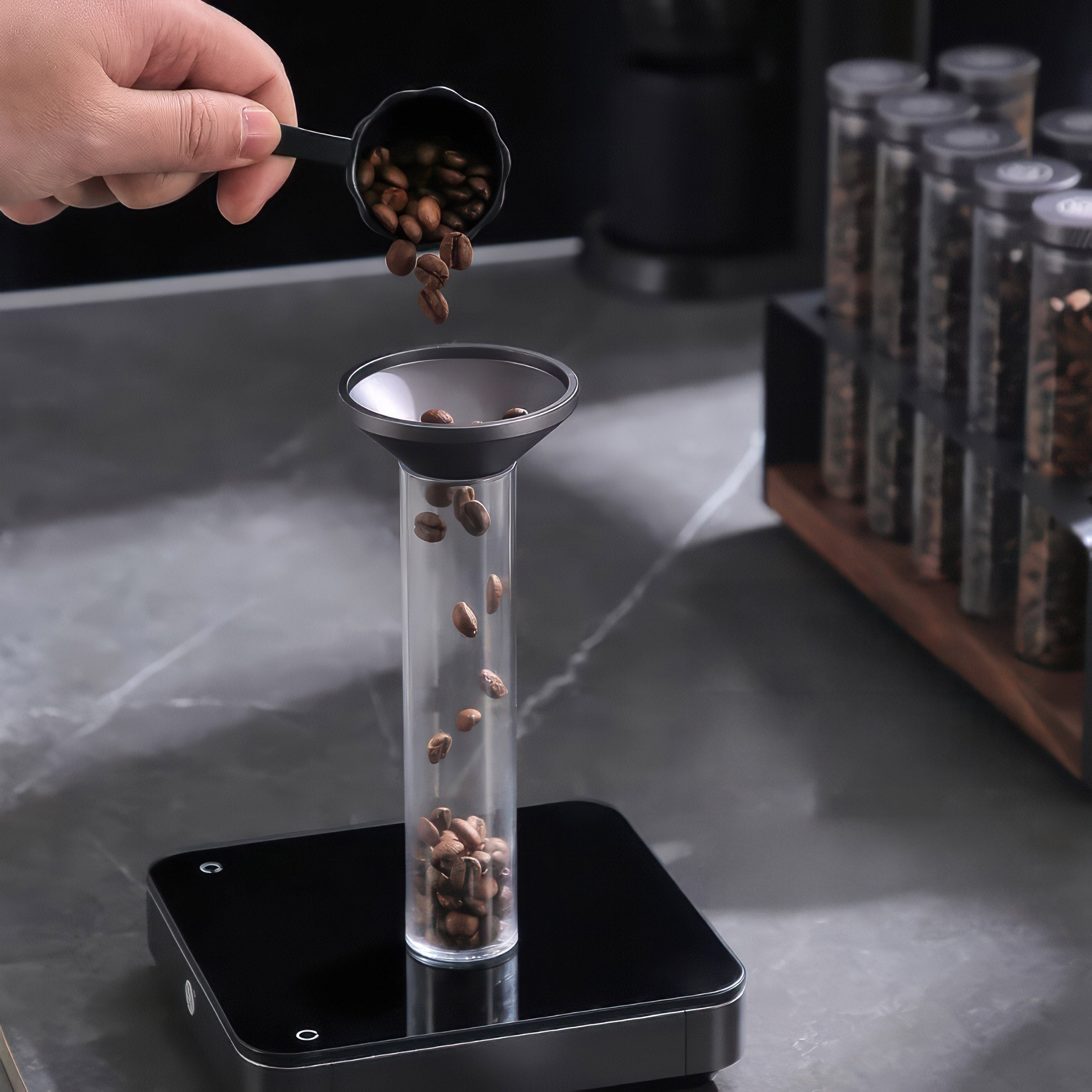Pro Coffee Bean Storage Display & Degassing Stand