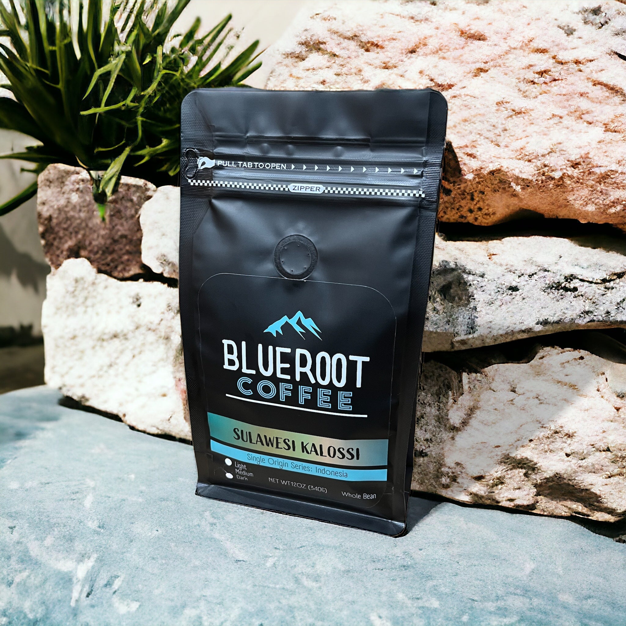 INDONESIA: Sulawesi Kalossi