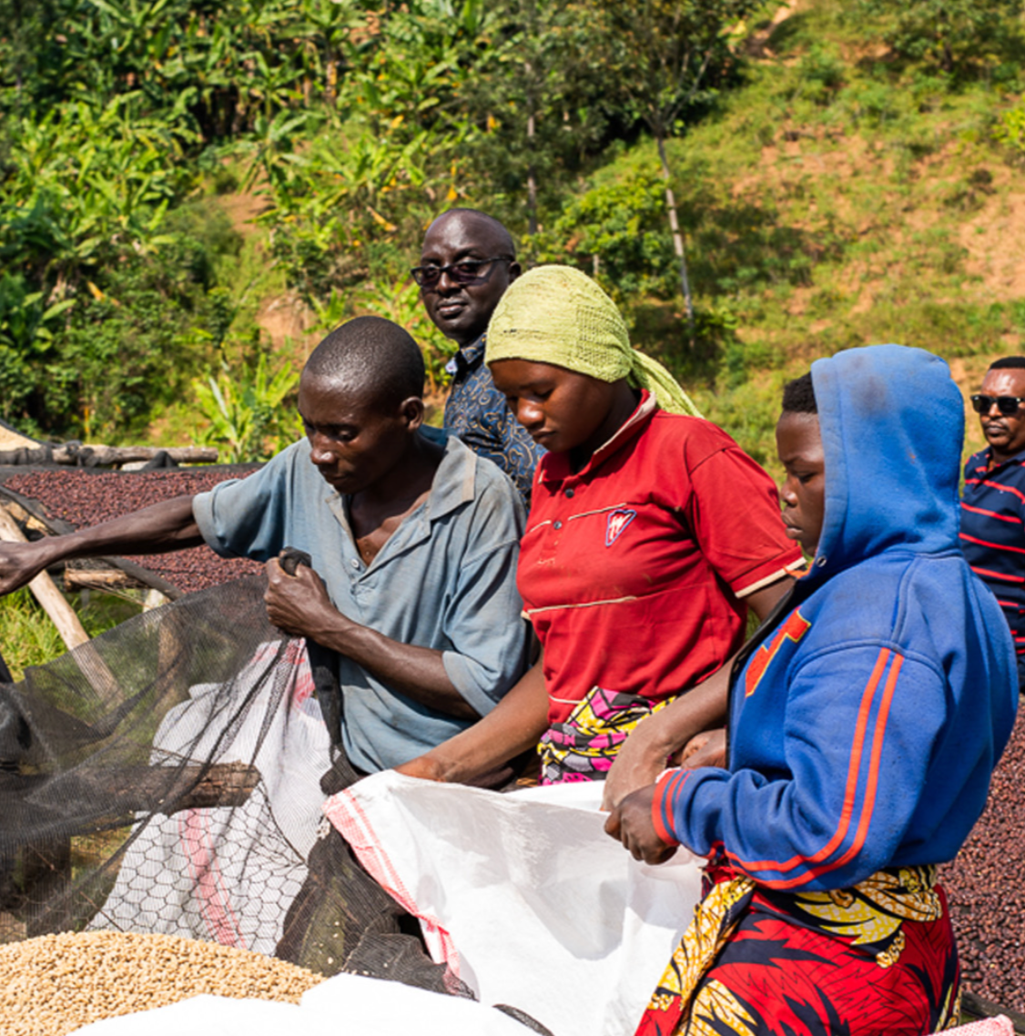 Supernatural (PRESALE roasts 12/1 | ships 12/2)