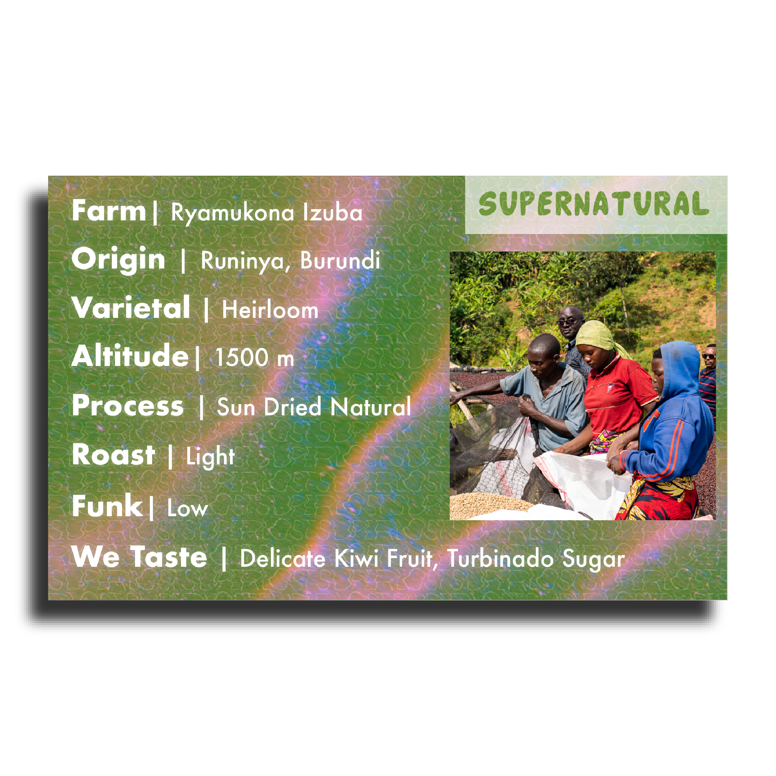 Supernatural (PRESALE roasts 12/1 | ships 12/2)