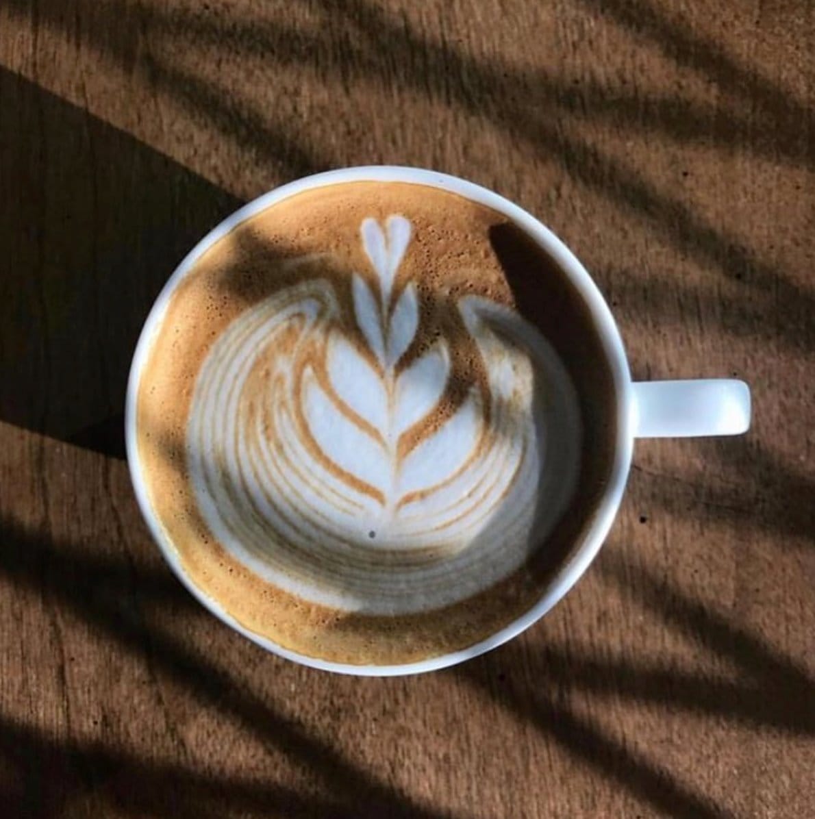 Borealis Espresso // Blend // Medium