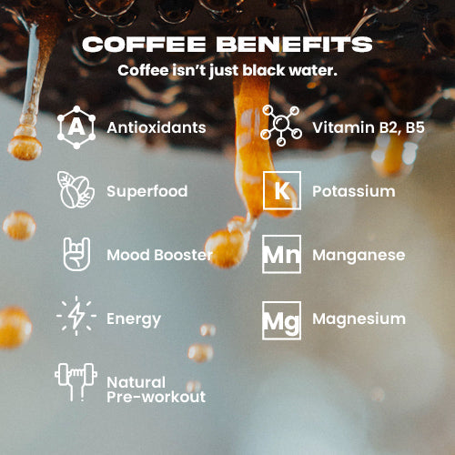 CHIAPAS COFFEE | LIFEBLOOD