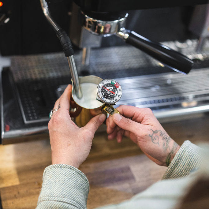 Colored Frothing Pitcher 20oz - Gold