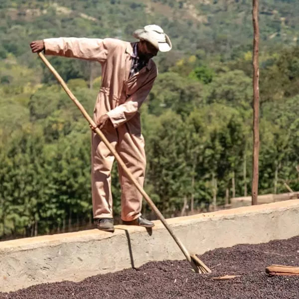 Ethiopia | Sidama Legend