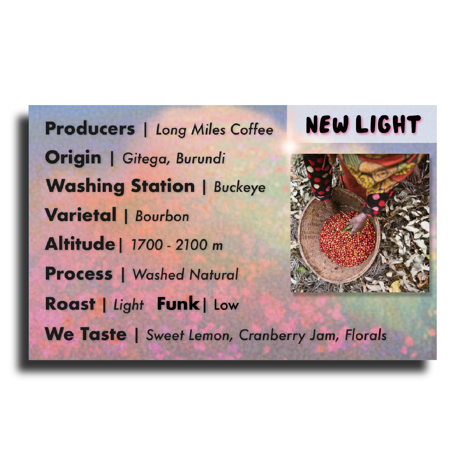 New Light