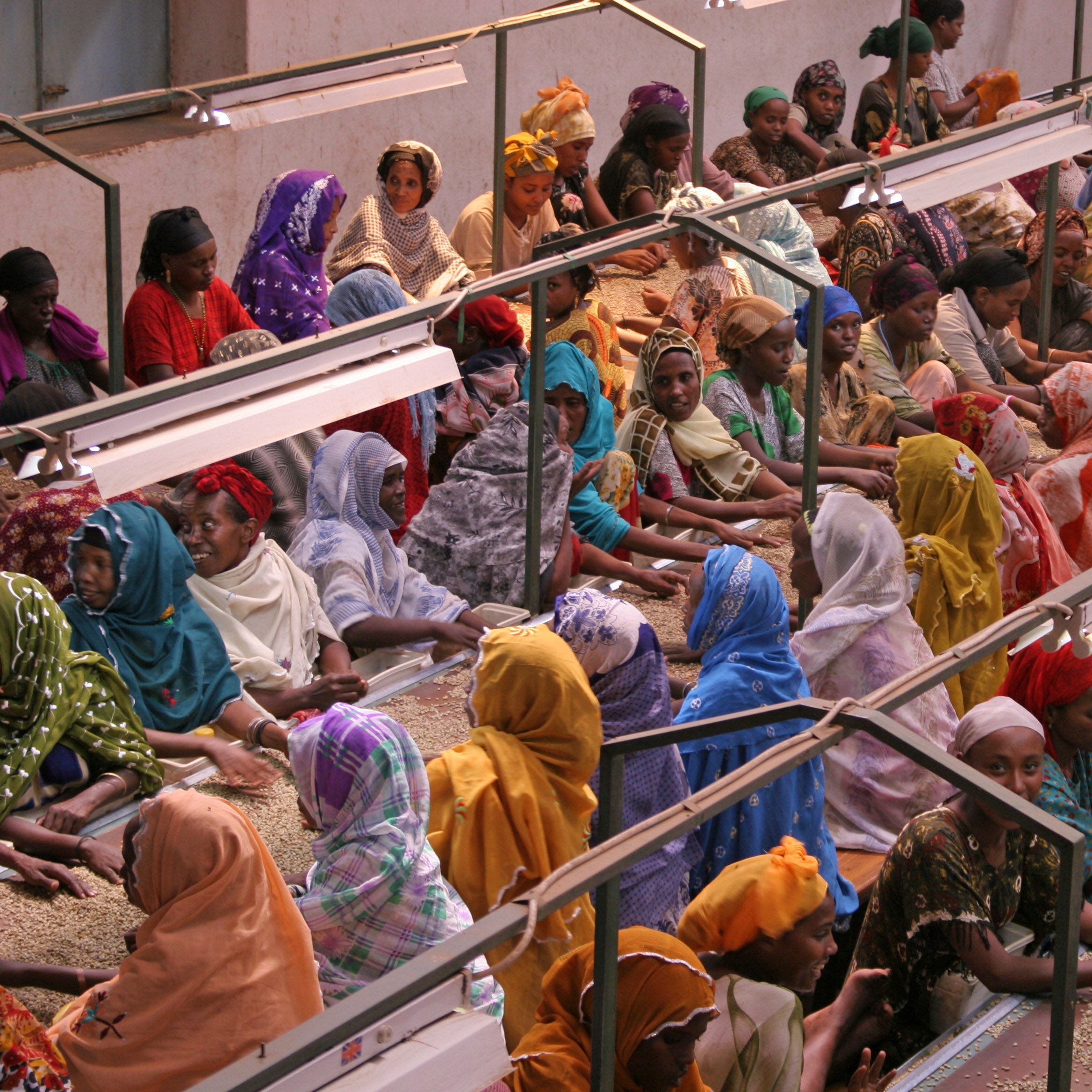 Women-Grown & Owned BUNDLE 💜